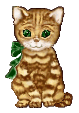 kittenbow.gif